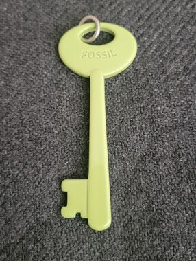 Fossil Green Green Key Charm